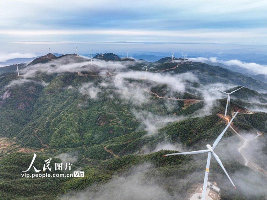 妙鸭相机app下载官网